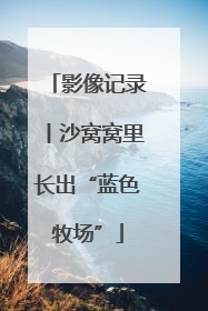 影像记录丨沙窝窝里长出“蓝色牧场”
