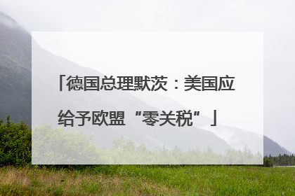 德国总理默茨：美国应给予欧盟“零关税”