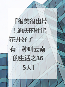 很美很出片！迪庆的杜鹃花开好了——有一种叫云南的生活之365天
