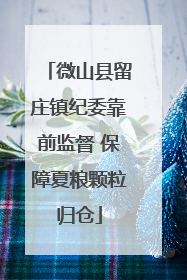 微山县留庄镇纪委靠前监督 保障夏粮颗粒归仓