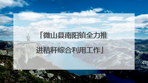 微山县南阳镇全力推进秸秆综合利用工作