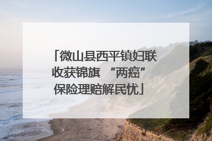 微山县西平镇妇联收获锦旗 “两癌”保险理赔解民忧
