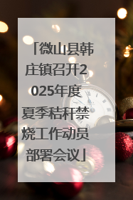 微山县韩庄镇召开2025年度夏季秸秆禁烧工作动员部署会议