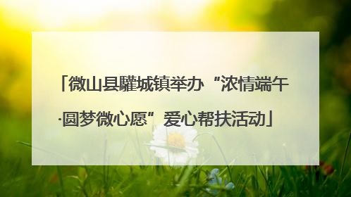 微山县驩城镇举办“浓情端午·圆梦微心愿”爱心帮扶活动