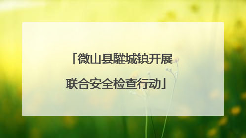 微山县驩城镇开展联合安全检查行动