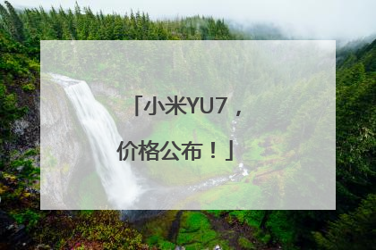 小米YU7，价格公布！