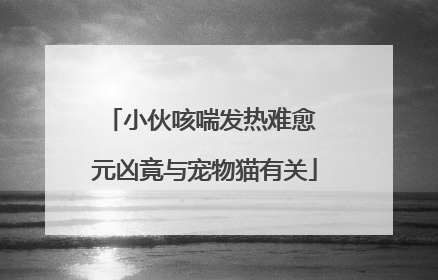 小伙咳喘发热难愈 元凶竟与宠物猫有关