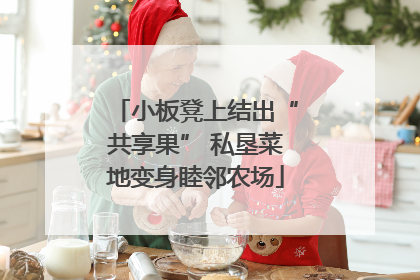 小板凳上结出“共享果” 私垦菜地变身睦邻农场
