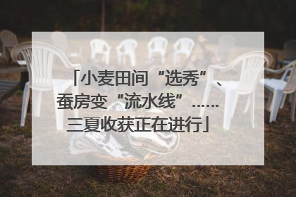 小麦田间“选秀”、蚕房变“流水线”……三夏收获正在进行