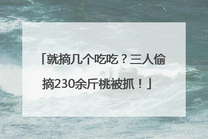 就摘几个吃吃？三人偷摘230余斤桃被抓！