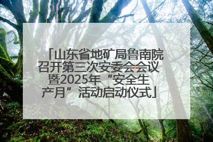 山东省地矿局鲁南院召开第三次安委会会议暨2025年“安全生产月”活动启动仪式