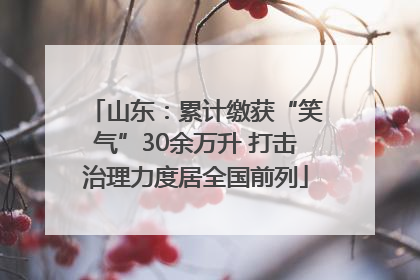 山东：累计缴获“笑气”30余万升 打击治理力度居全国前列