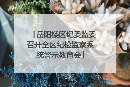 岳阳楼区纪委监委召开全区纪检监察系统警示教育会