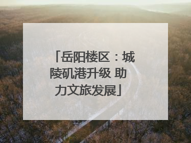 岳阳楼区：城陵矶港升级 助力文旅发展