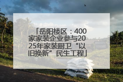 岳阳楼区：400家家装企业参与2025年家装厨卫“以旧换新”民生工程