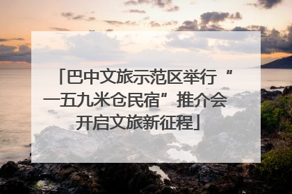 巴中文旅示范区举行“一五九米仓民宿”推介会 开启文旅新征程