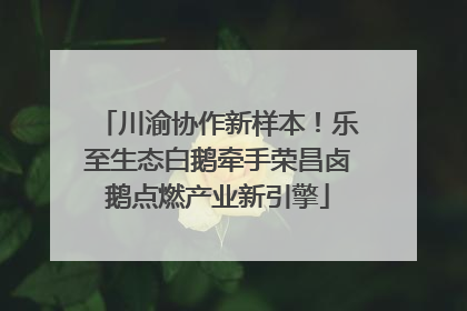 川渝协作新样本！乐至生态白鹅牵手荣昌卤鹅点燃产业新引擎