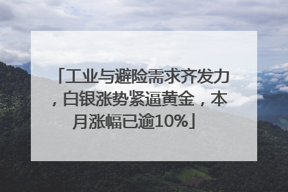 工业与避险需求齐发力，白银涨势紧逼黄金，本月涨幅已逾10%