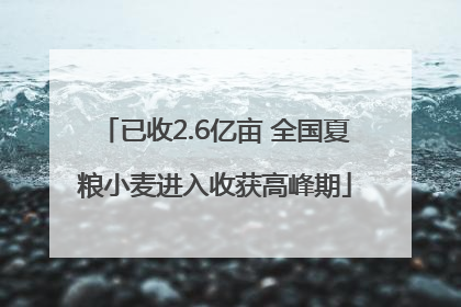 已收2.6亿亩 全国夏粮小麦进入收获高峰期