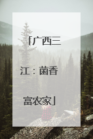 广西三江：菌香富农家