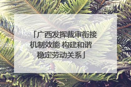 广西发挥裁审衔接机制效能 构建和谐稳定劳动关系