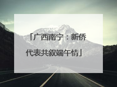 广西南宁：新侨代表共叙端午情