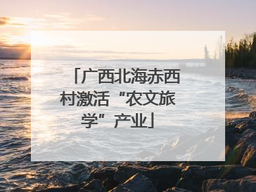 广西北海赤西村激活“农文旅学”产业