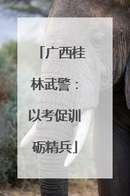 广西桂林武警：以考促训砺精兵