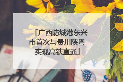 广西防城港东兴市首次与贵川陕粤实现高铁直通
