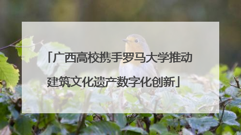 广西高校携手罗马大学推动建筑文化遗产数字化创新