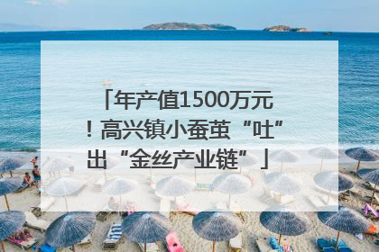 年产值1500万元！高兴镇小蚕茧“吐”出“金丝产业链”