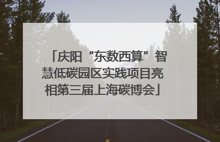 庆阳“东数西算”智慧低碳园区实践项目亮相第三届上海碳博会