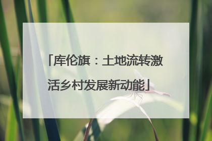 库伦旗：土地流转激活乡村发展新动能