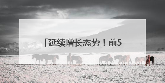 延续增长态势！前5个月潍坊市进出口总值1539.4亿元