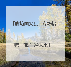 廊坊固安县：专场招聘 “职”通未来