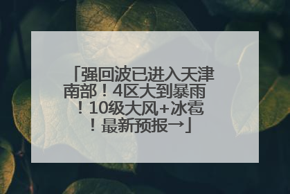 强回波已进入天津南部！4区大到暴雨！10级大风+冰雹！最新预报→