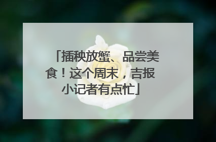 插秧放蟹、品尝美食！这个周末，吉报小记者有点忙