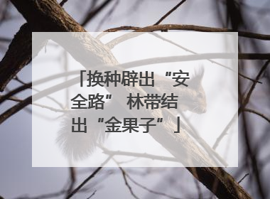 换种辟出“安全路” 林带结出“金果子”