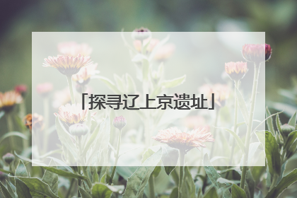 探寻辽上京遗址