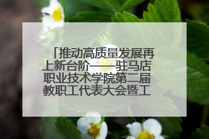 推动高质量发展再上新台阶——驻马店职业技术学院第二届教职工代表大会暨工会会员代表大会第四次会议成功召开