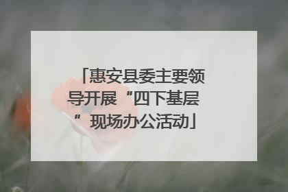 惠安县委主要领导开展“四下基层”现场办公活动