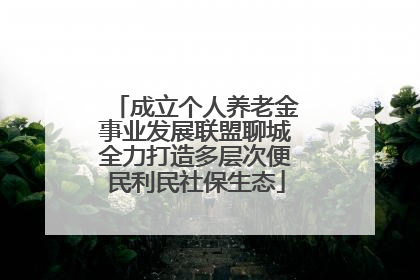 成立个人养老金事业发展联盟聊城全力打造多层次便民利民社保生态