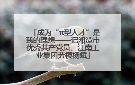 成为“π型人才”是我的理想——记湘潭市优秀共产党员、江南工业集团劳模杨斌