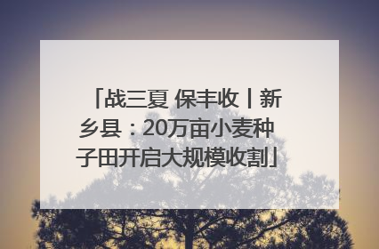 战三夏 保丰收丨新乡县：20万亩小麦种子田开启大规模收割