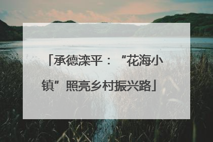 承德滦平：“花海小镇”照亮乡村振兴路