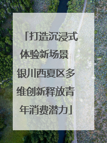 打造沉浸式体验新场景 银川西夏区多维创新释放青年消费潜力