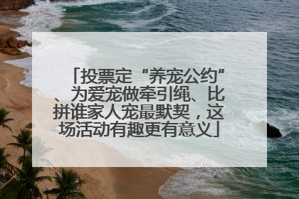 投票定“养宠公约”、为爱宠做牵引绳、比拼谁家人宠最默契，这场活动有趣更有意义