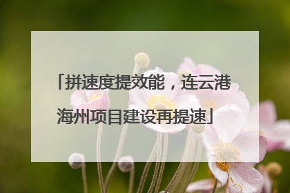 拼速度提效能，连云港海州项目建设再提速