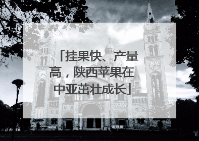 挂果快、产量高，陕西苹果在中亚茁壮成长