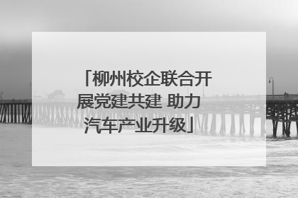 柳州校企联合开展党建共建 助力汽车产业升级